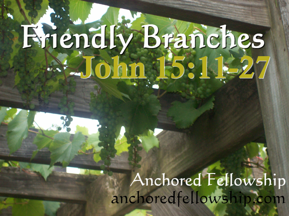 Friendly Branches Image