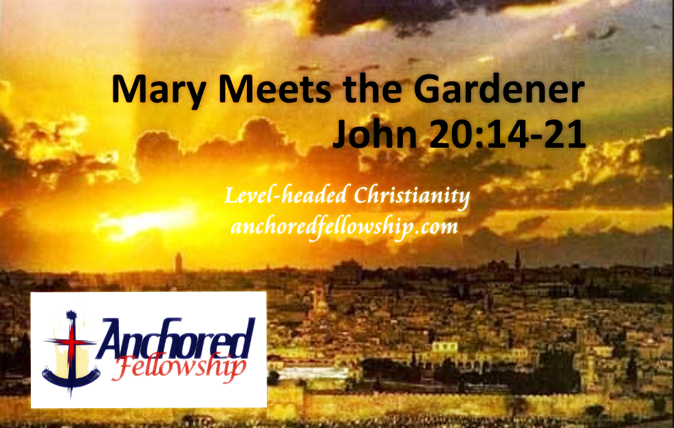 Mary Meets the Gardener Image