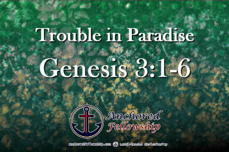 Trouble in Paradise Image