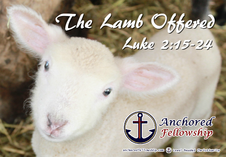 The Lamb Offered