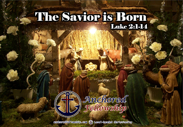 The Savior is Born Image