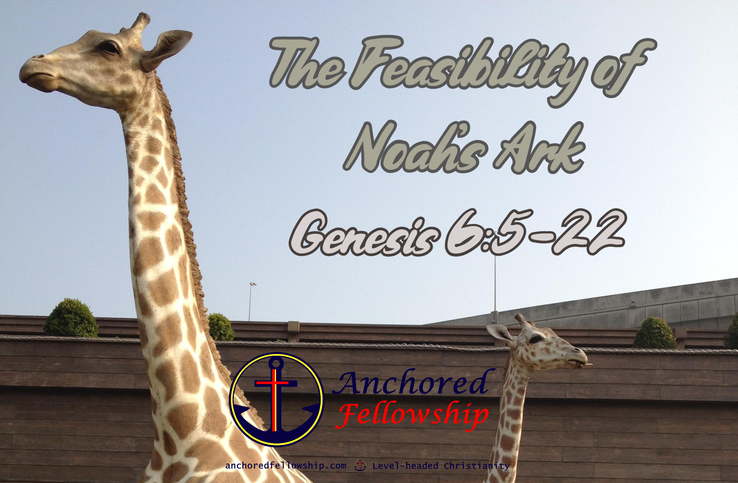 The Feasibility of Noah\'s Ark