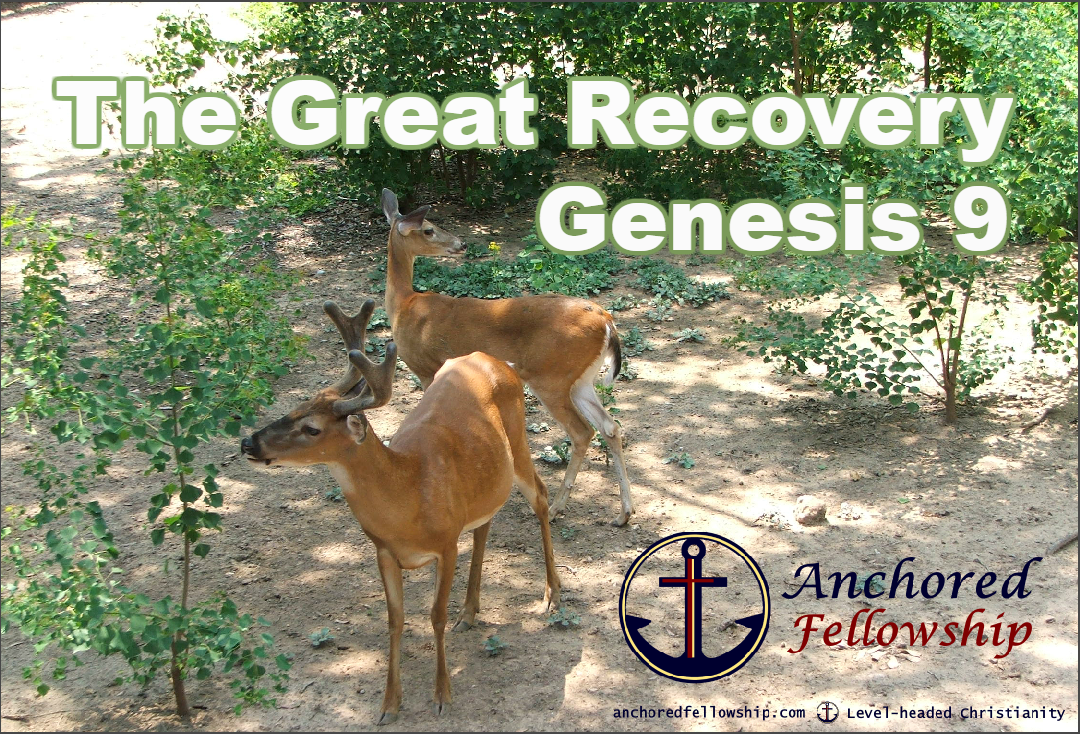 The Great Recovery Image