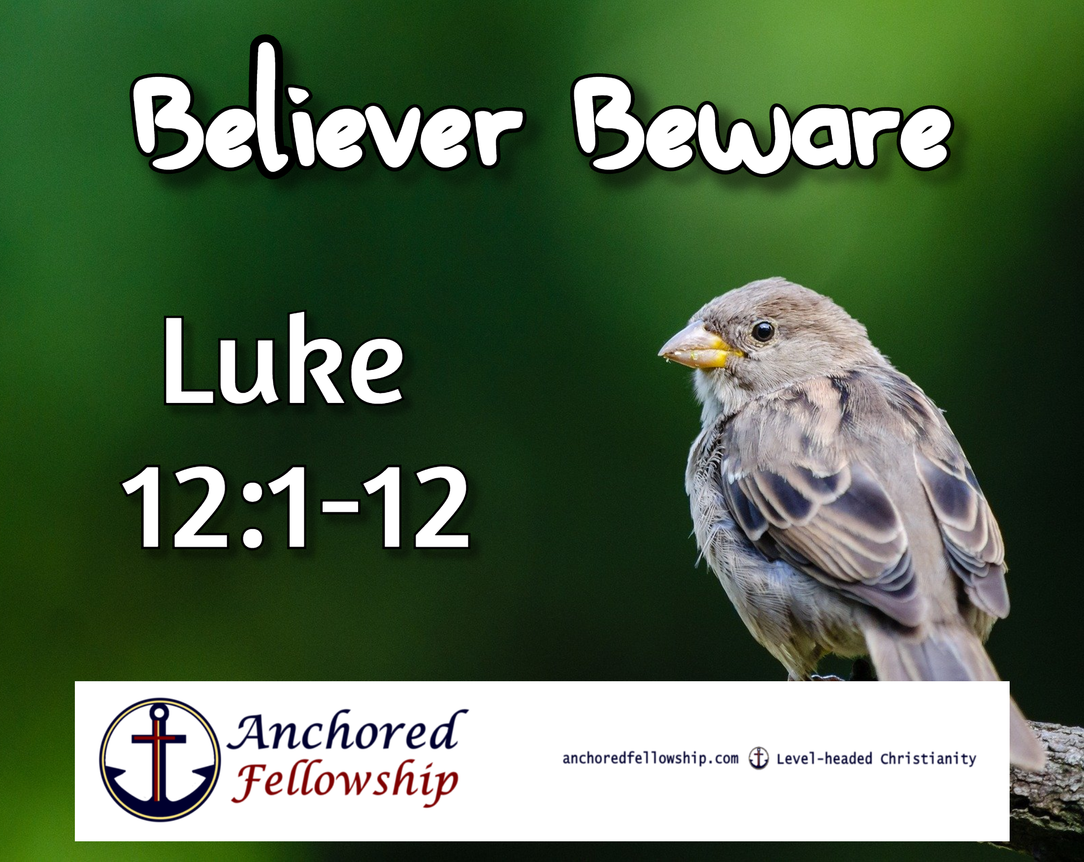 Believer Beware - Part 1 Image