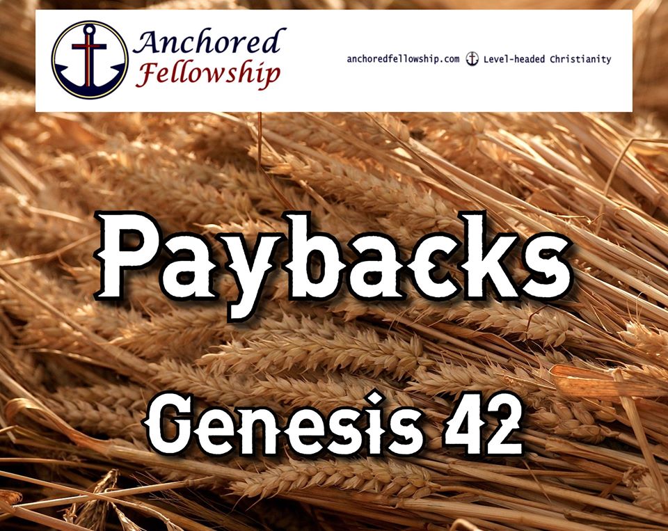 Paybacks Image