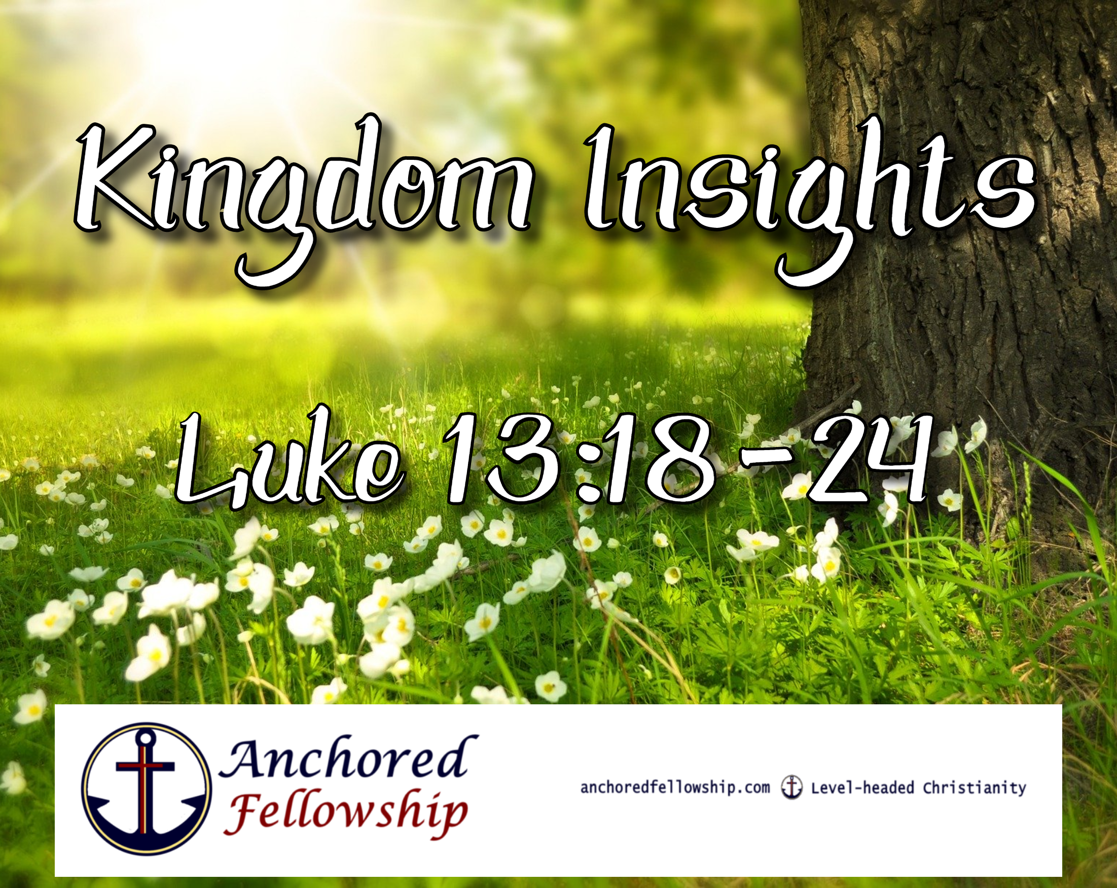 Kingdom Insights