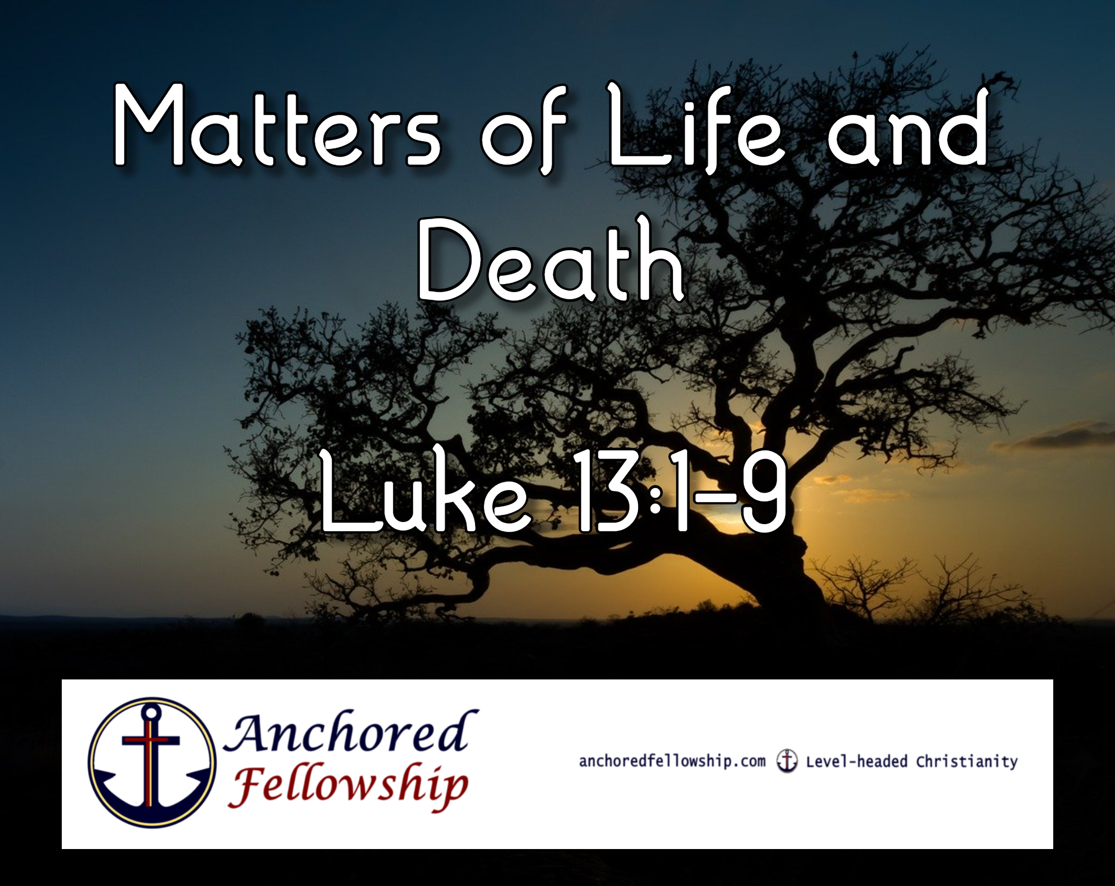 Matters of Life and Death Image