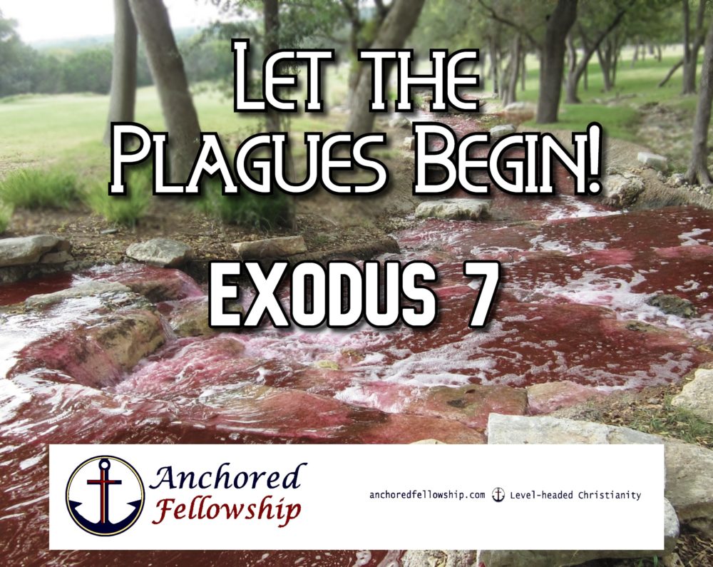 Let the Plagues Begin!