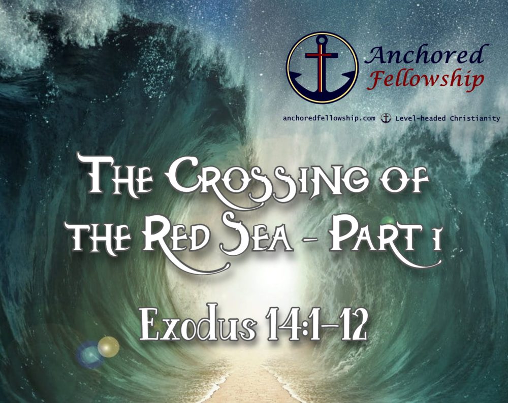 The Crossing of the Red Sea - Part 1 Image