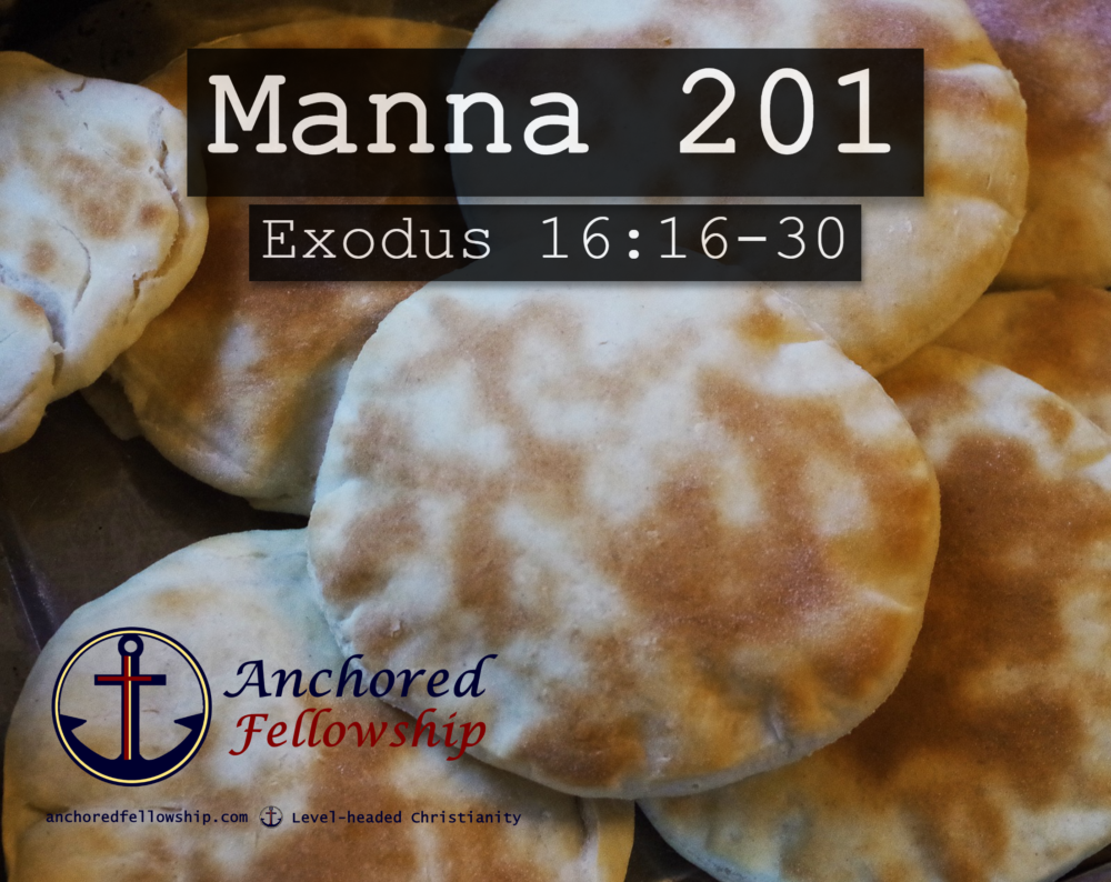 Manna 201