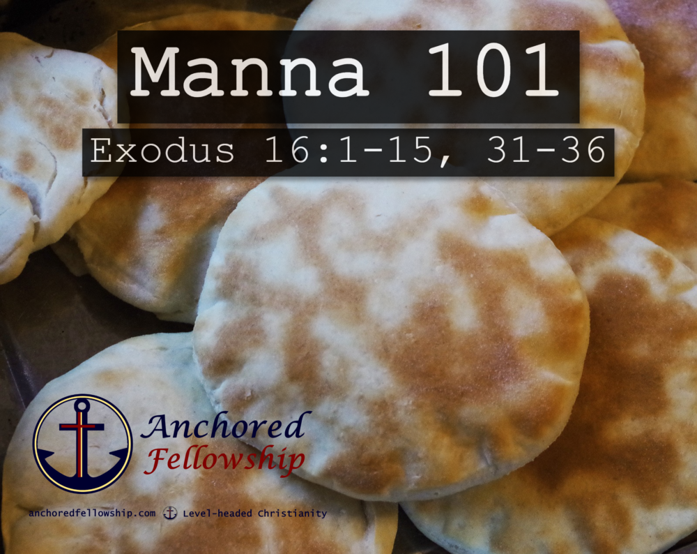 Manna 101 Image