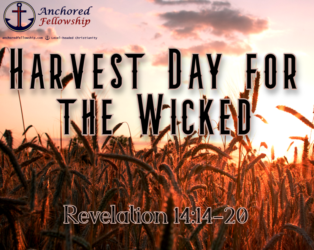 Harvest Day for the Wicked