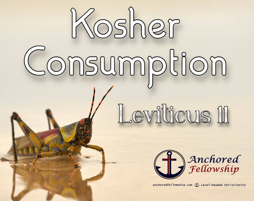 Kosher Consumption Image