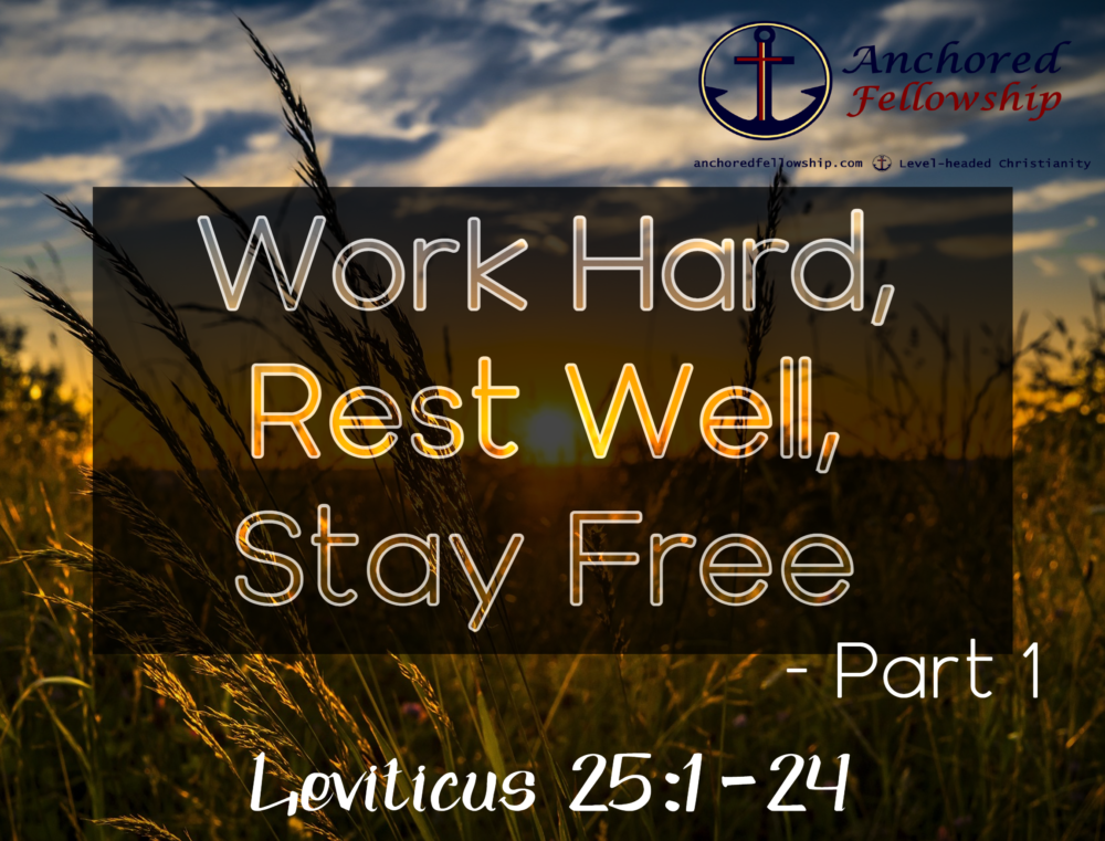 Work Hard, Rest Well, Stay Free - Part 1