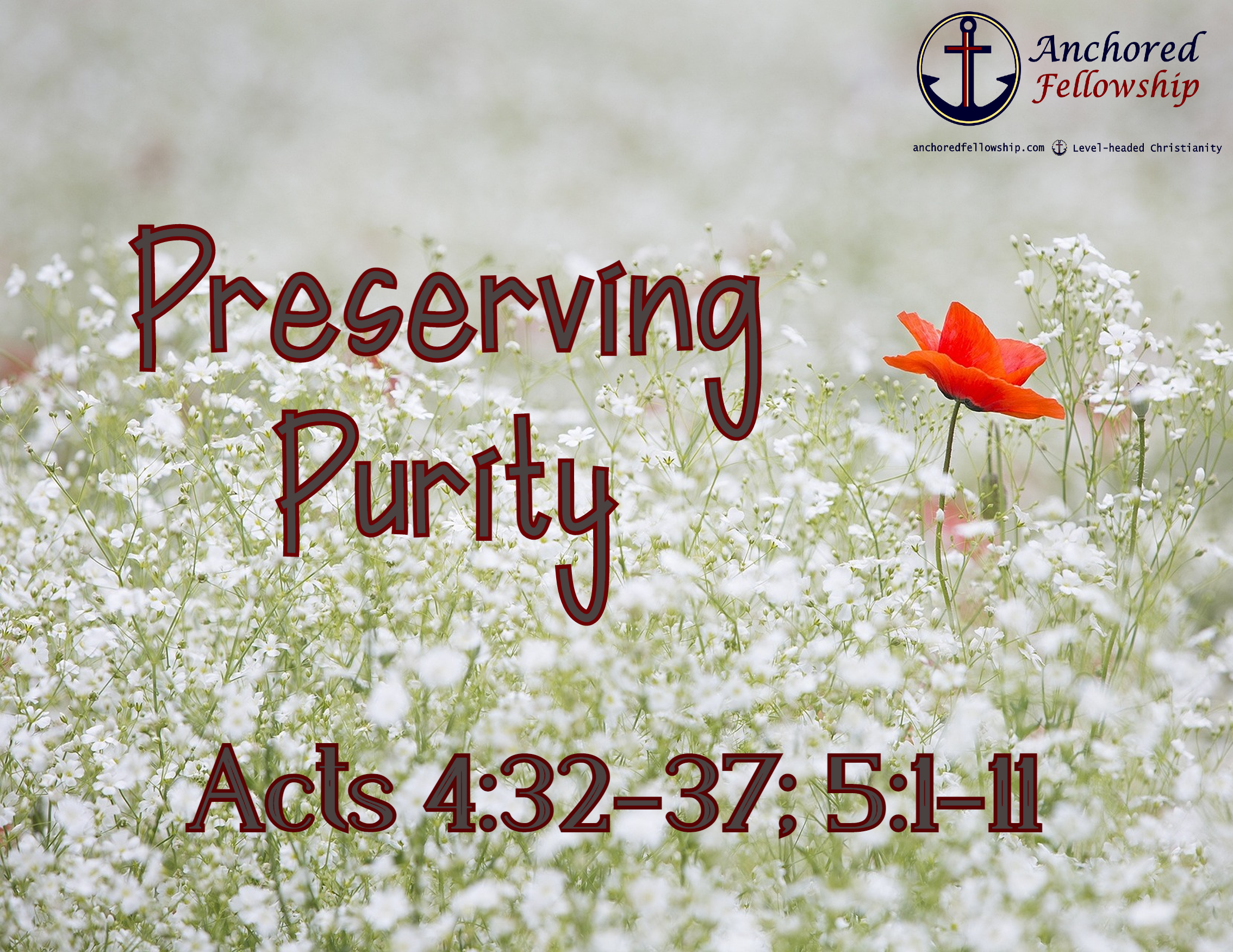 Preserving Purity Image