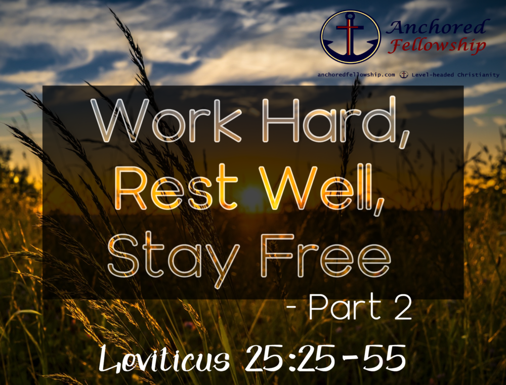 Work Hard, Rest Well, Stay Free - Part 2