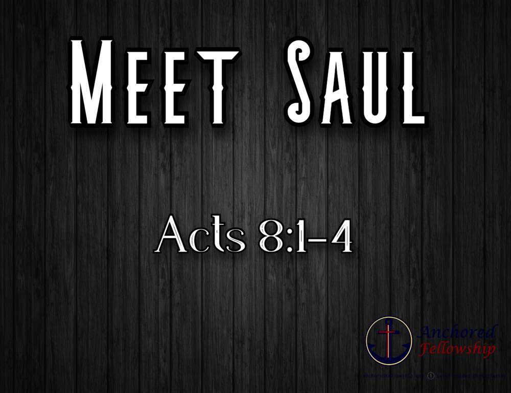 Meet Saul Image