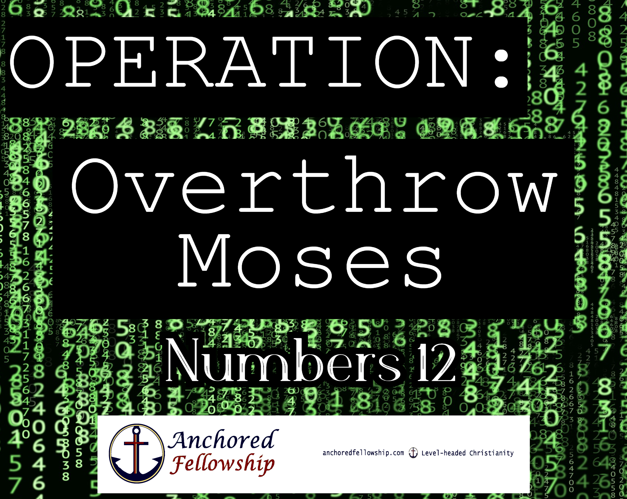 Operation: Overthrow Moses