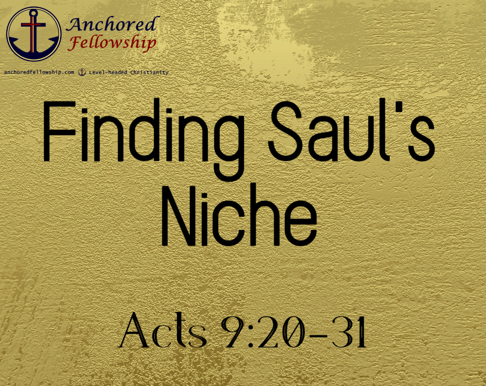 Finding Saul's Niche Image