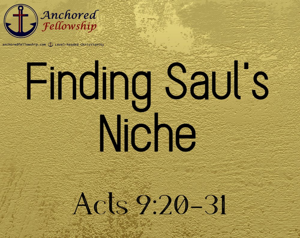 Finding Saul\'s Niche