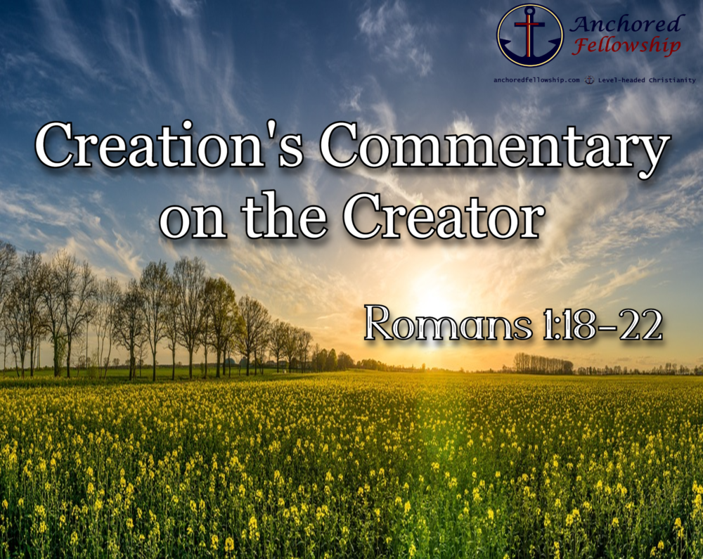 Creation's Commentary on the Creator Image