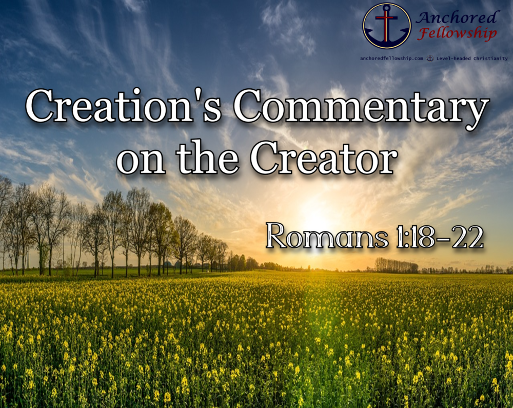 Creation\'s Commentary on the Creator