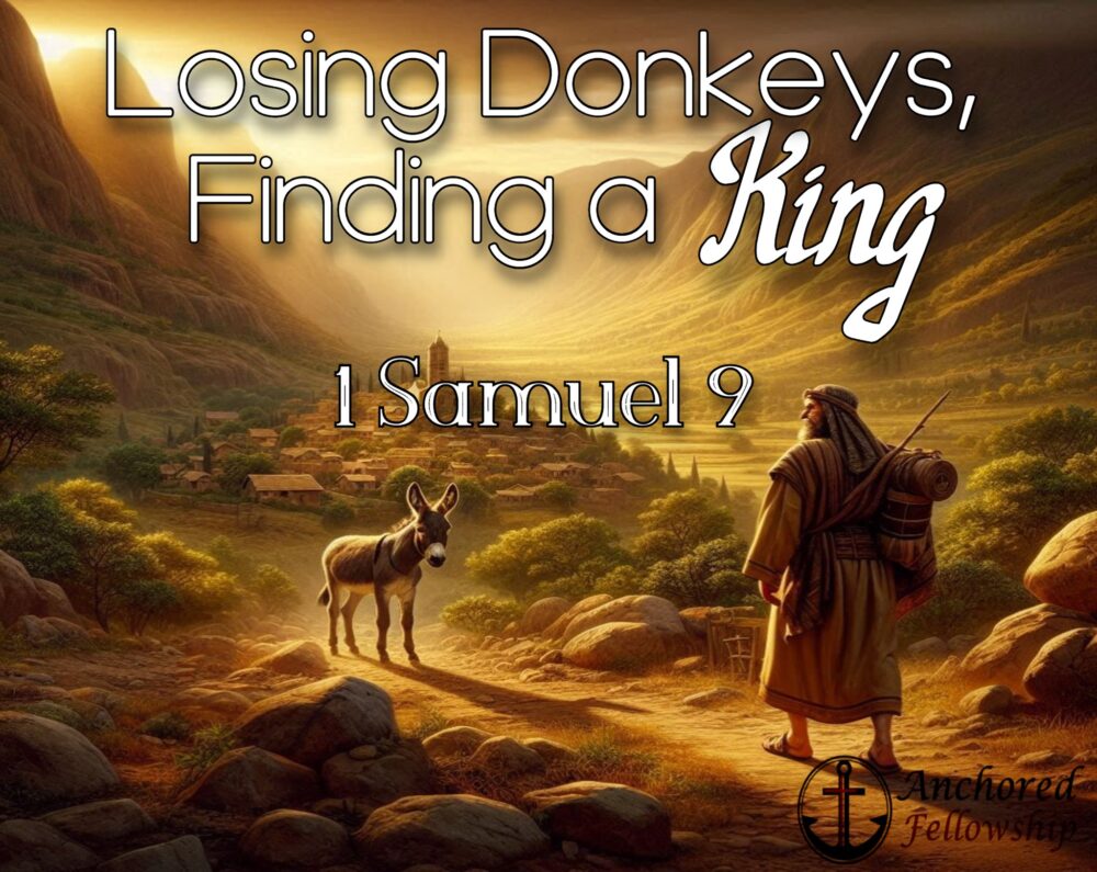 Losing Donkeys, Finding a King